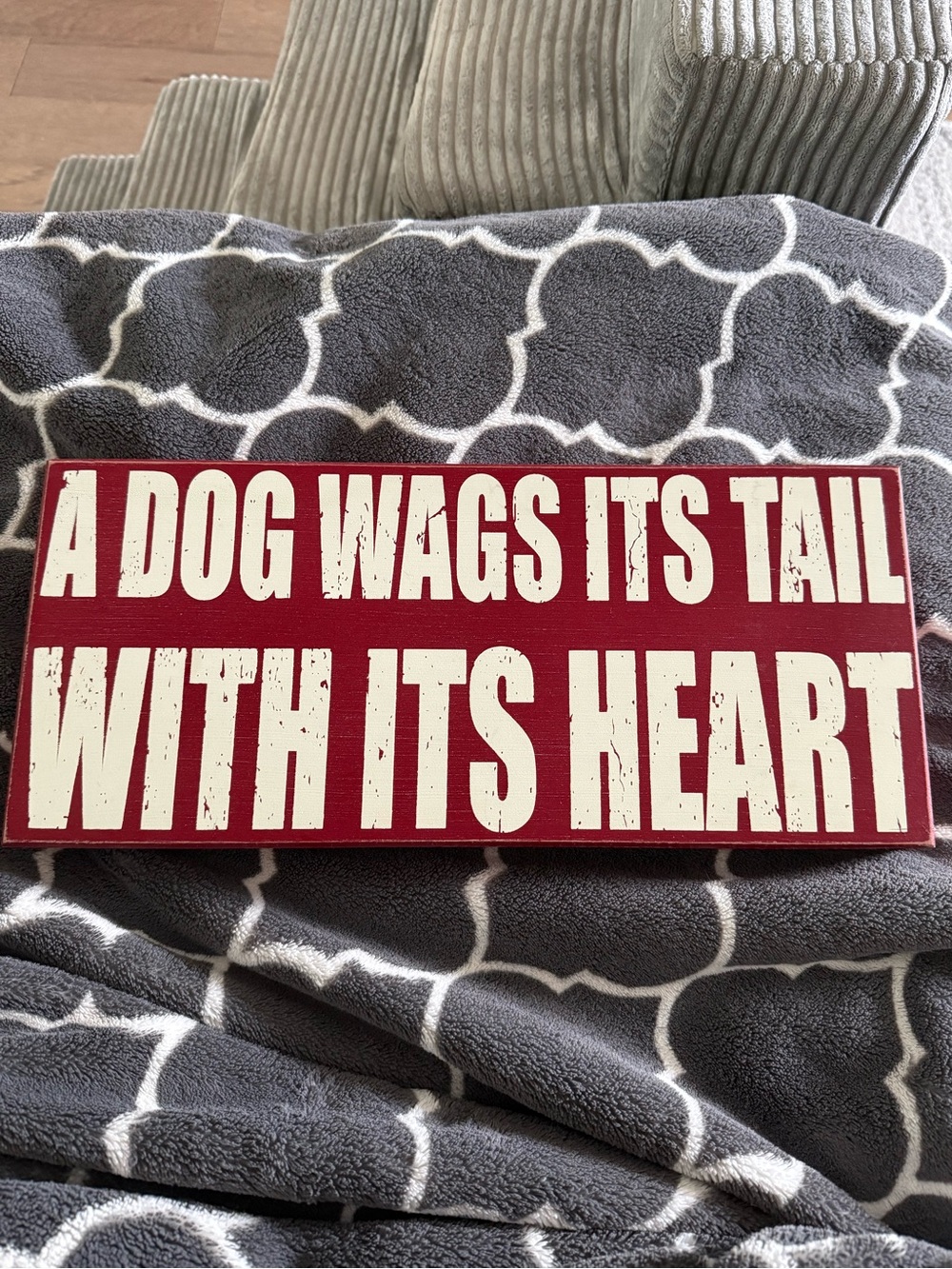 A dog wags its tail with its heart sign